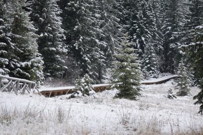 KPN: Nowe kładki na Polanie do Pielgrzymów