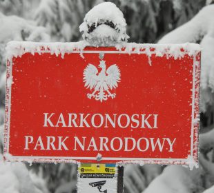 KPN rozwiązuje umowę z firmą, która pobierała opłaty za wejście do parku KPN rozwiązuje umowę z firmą, która pobierała opłaty za wejście do parku