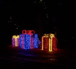 Szklarska Poręba zaprasza do rozświetlonego Ogrodu Ducha Gór