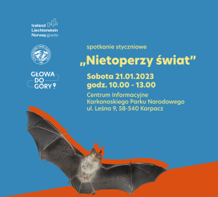 Spotkanie o nietoperzach