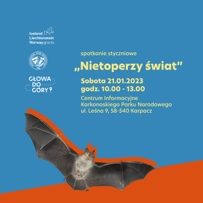 Spotkanie o nietoperzach