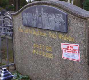 Zapomniany naukowiec Fritz Wadhen