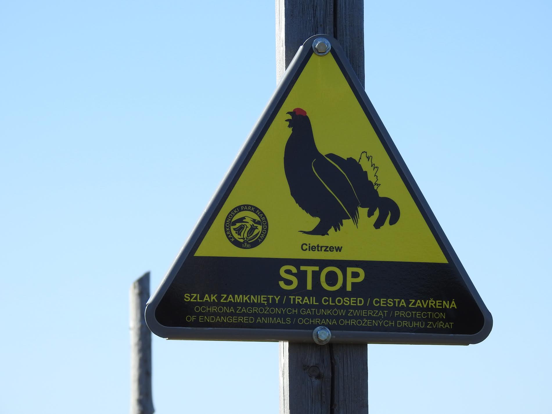 Zamknięte szlaki na terenie Karkonoskiego Parku Narodowego