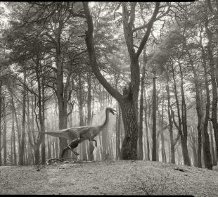 „KONTAKTY. W drodze” – wystawa fotografii w galerii BWA