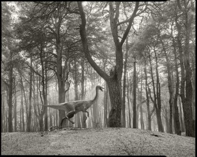 „KONTAKTY. W drodze” – wystawa fotografii w galerii BWA