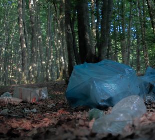 Razem posprzątaliśmy Borowy Jar