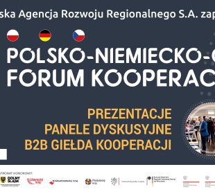 Weź udział w 30. Polsko-Niemiecko-Czeskim Forum Kooperacji Firm i Poszerz Swoje Horyzonty Biznesowe! Weź udział w 30. Polsko-Niemiecko-Czeskim Forum Kooperacji Firm i Poszerz Swoje Horyzonty Biznesowe!