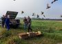 Zagrożony wyginięciem gatunek ptaków zasiedlił tereny sąsiadujące z Kopalnią Turów Zagrożony wyginięciem gatunek ptaków zasiedlił tereny sąsiadujące z Kopalnią Turów