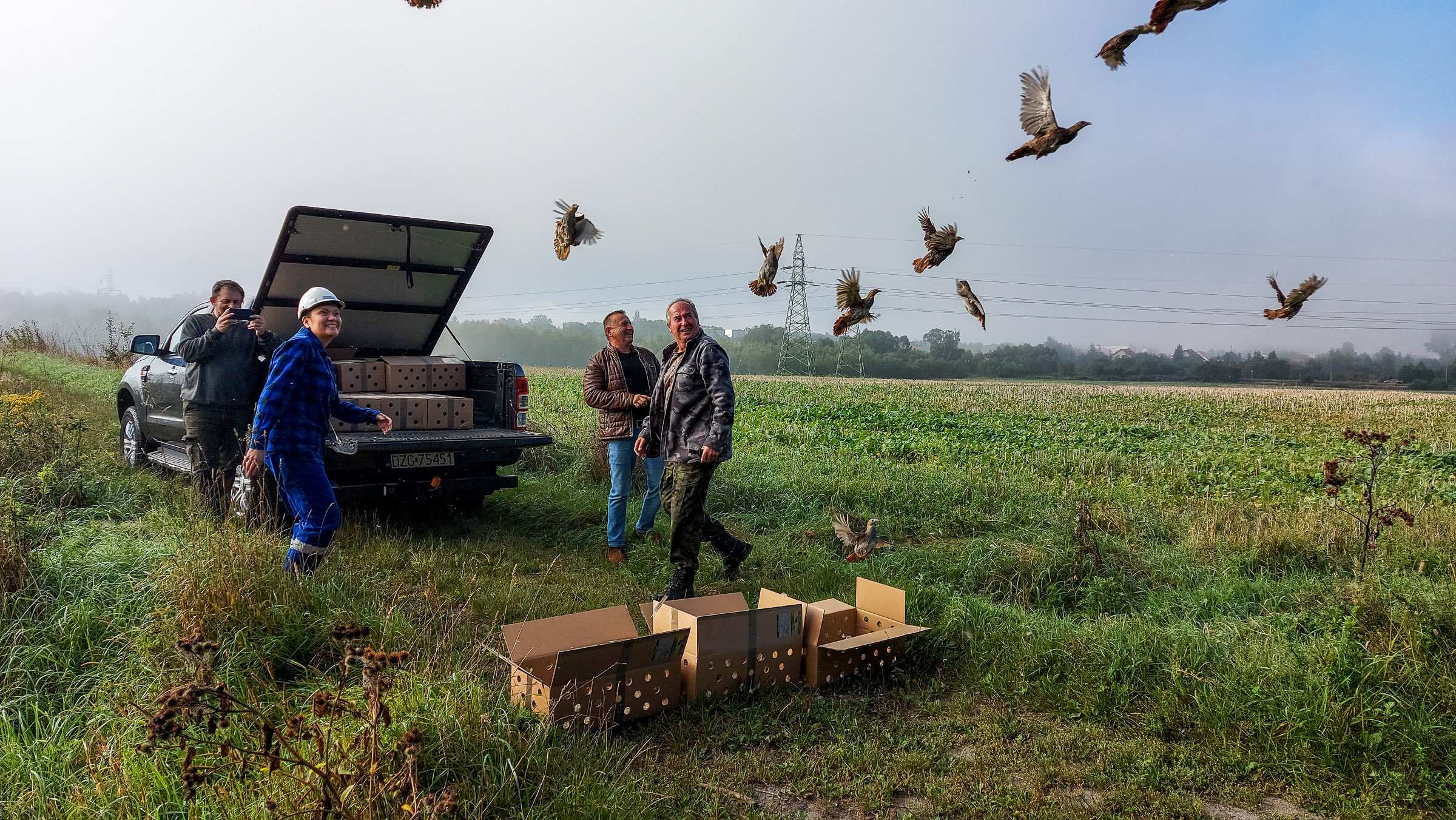 Zagrożony wyginięciem gatunek ptaków zasiedlił tereny sąsiadujące z Kopalnią Turów