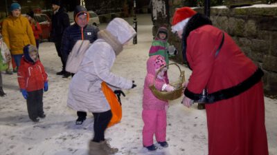 Kowarski cyprys ponownie rozświetlił plac Franciszkański